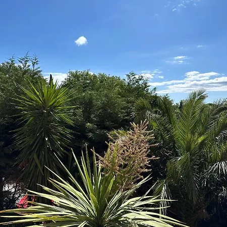 La Canopee - Avec Piscine Dans *